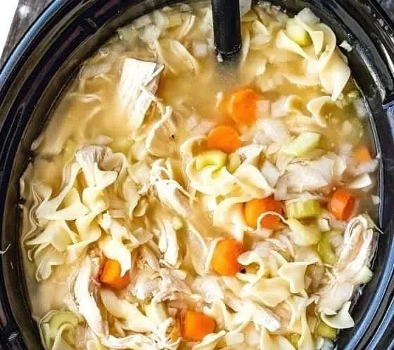 Bowl of homemade crockpot chicken noodle soup with fresh vegetables and herbs