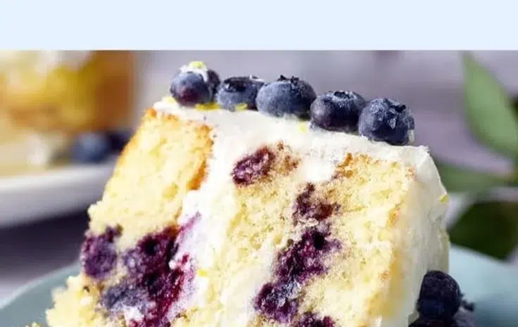Delicious blueberry lemon cheesecake cake with fresh blueberries and lemon zest